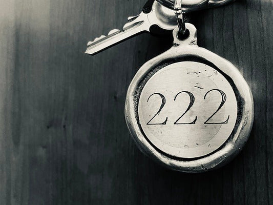 Angel Number 222 Meaning: Love, Career, Health & More
