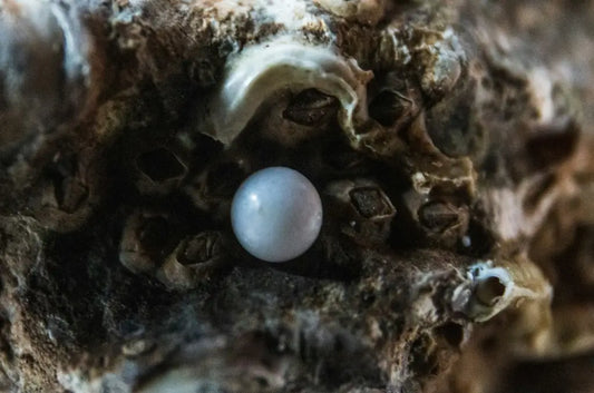 Pearl Meaning, Healing Properites & More