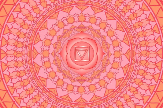 20 Essential Crystals For The Root Chakra / Muladhara｜Touch Vintage