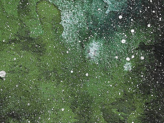 moss agate meaning